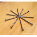 Fabricant China Factory Common Round Nails